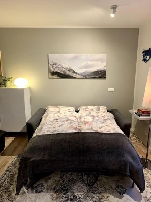 Cosy One Bedroom Apartment In Рейкьявик Экстерьер фото